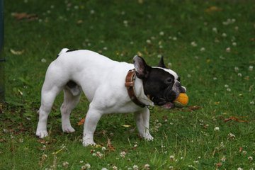 Bild 273 - 2012
